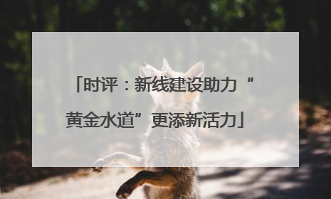 时评：新线建设助力“黄金水道”更添新活力