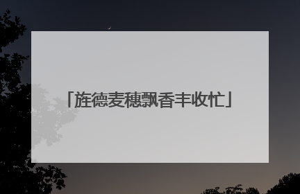 旌德麦穗飘香丰收忙