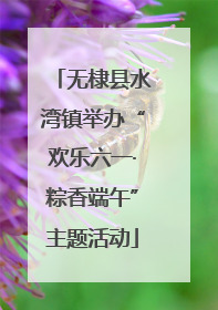 无棣县水湾镇举办“欢乐六一·粽香端午”主题活动
