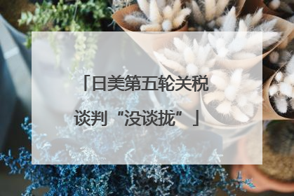 日美第五轮关税谈判“没谈拢”