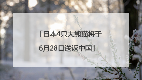 日本4只大熊猫将于6月28日送返中国