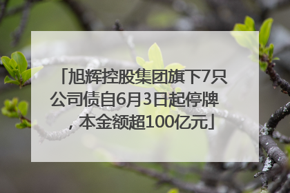 旭辉控股集团旗下7只公司债自6月3日起停牌，本金额超100亿元