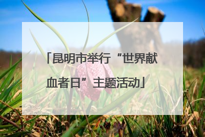 昆明市举行“世界献血者日”主题活动