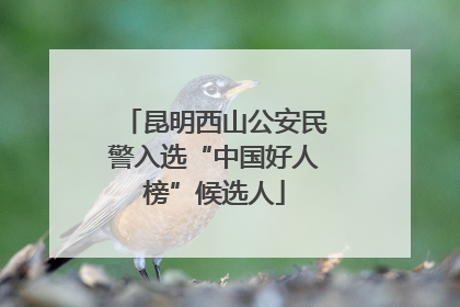 昆明西山公安民警入选“中国好人榜”候选人