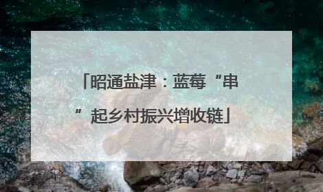 昭通盐津：蓝莓“串”起乡村振兴增收链