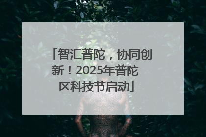 智汇普陀，协同创新！2025年普陀区科技节启动