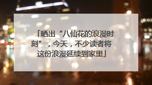 晒出“八仙花的浪漫时刻”，今天，不少读者将这份浪漫延续到家里