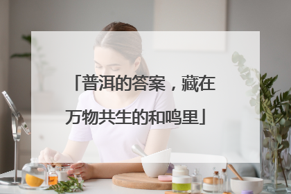普洱的答案，藏在万物共生的和鸣里