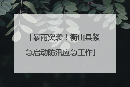 暴雨突袭！衡山县紧急启动防汛应急工作