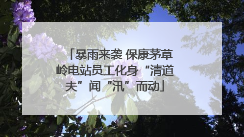 暴雨来袭 保康茅草岭电站员工化身“清道夫”闻“汛”而动