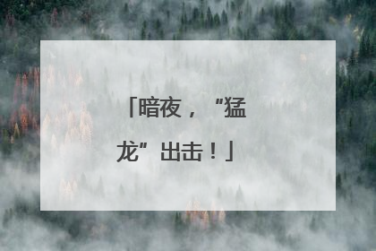 暗夜，“猛龙”出击！