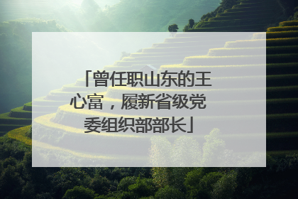 曾任职山东的王心富，履新省级党委组织部部长