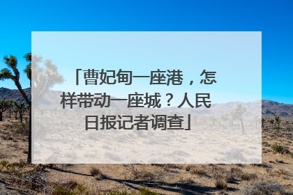 曹妃甸一座港，怎样带动一座城？人民日报记者调查