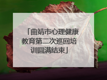 曲靖市心理健康教育第二次巡回培训圆满结束