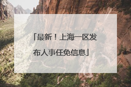 最新！上海一区发布人事任免信息