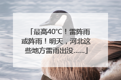 最高40℃！雷阵雨或阵雨！明天，河北这些地方雷雨出没……