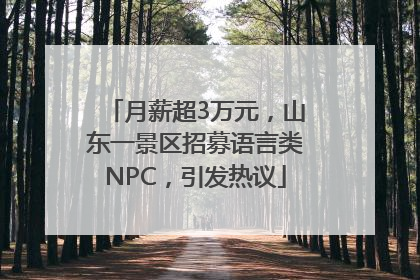 月薪超3万元，山东一景区招募语言类NPC，引发热议