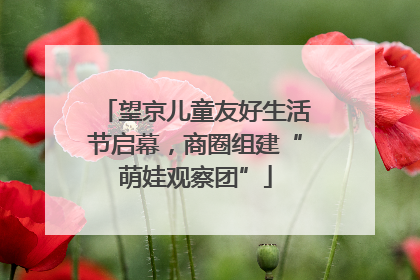 望京儿童友好生活节启幕，商圈组建“萌娃观察团”