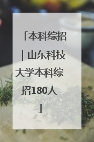 本科综招｜山东科技大学本科综招180人