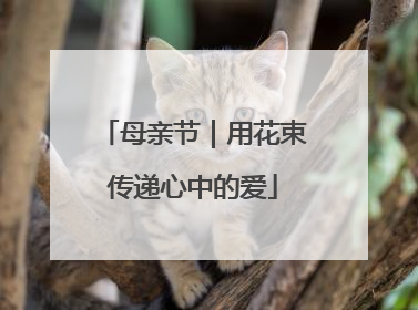 母亲节｜用花束传递心中的爱