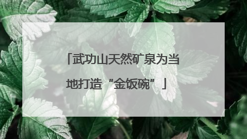 武功山天然矿泉为当地打造“金饭碗”