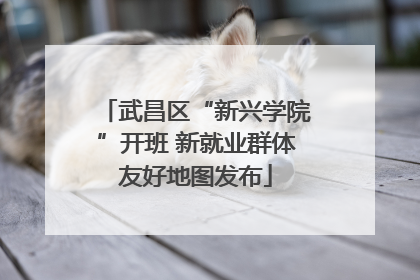 武昌区“新兴学院”开班 新就业群体友好地图发布