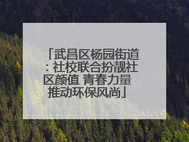 武昌区杨园街道：社校联合扮靓社区颜值 青春力量推动环保风尚
