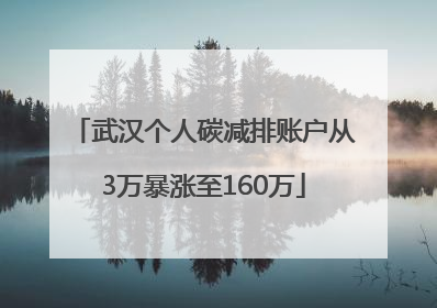 武汉个人碳减排账户从3万暴涨至160万
