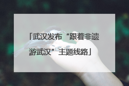 武汉发布“跟着非遗游武汉”主题线路