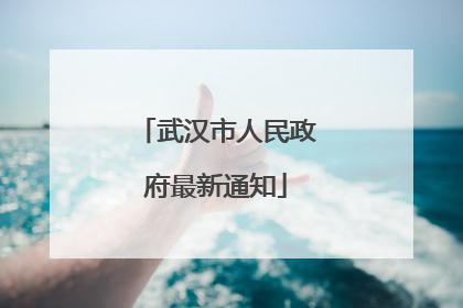武汉市人民政府最新通知