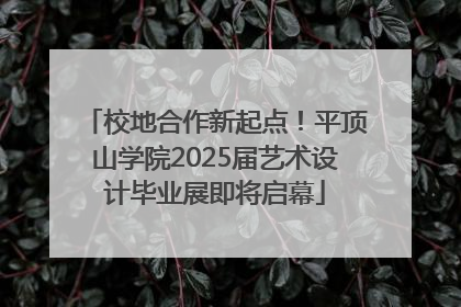 校地合作新起点！平顶山学院2025届艺术设计毕业展即将启幕