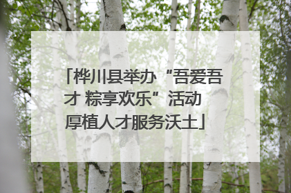 桦川县举办“吾爱吾才 粽享欢乐”活动 厚植人才服务沃土