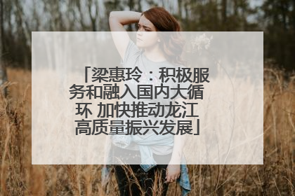 梁惠玲：积极服务和融入国内大循环 加快推动龙江高质量振兴发展