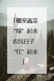 棚室蔬菜“绿”起来 农民日子“红”起来