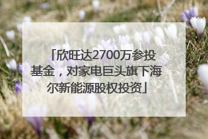 欣旺达2700万参投基金，对家电巨头旗下海尔新能源股权投资