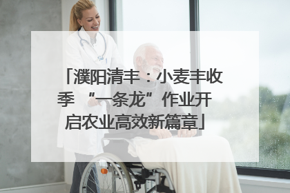 濮阳清丰：小麦丰收季 “一条龙”作业开启农业高效新篇章