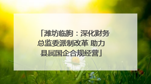 潍坊临朐：深化财务总监委派制改革 助力县属国企合规经营
