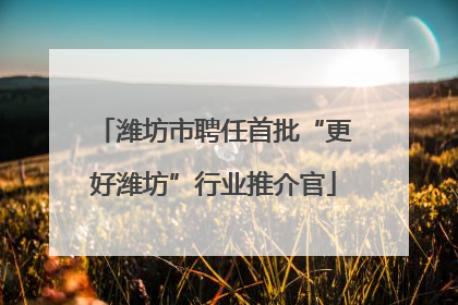 潍坊市聘任首批“更好潍坊”行业推介官