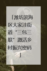 潍坊滨海区大家洼街道“三包三联”激活乡村振兴密码