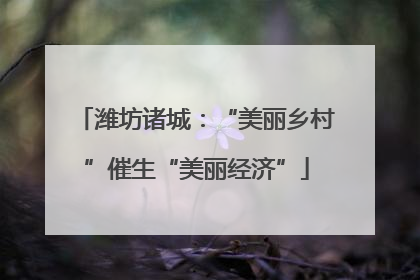 潍坊诸城:“美丽乡村”催生“美丽经济”