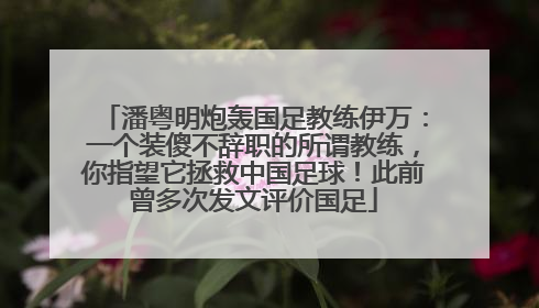 潘粤明炮轰国足教练伊万：一个装傻不辞职的所谓教练，你指望它拯救中国足球！此前曾多次发文评价国足