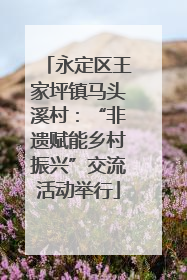 永定区王家坪镇马头溪村：“非遗赋能乡村振兴”交流活动举行