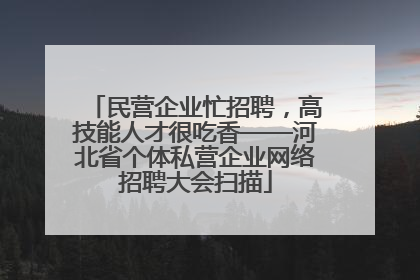 民营企业忙招聘，高技能人才很吃香——河北省个体私营企业网络招聘大会扫描