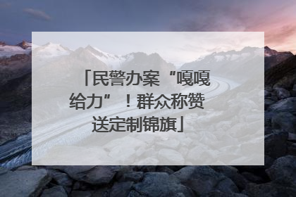 民警办案“嘎嘎给力”！群众称赞送定制锦旗