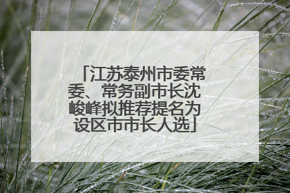 江苏泰州市委常委、常务副市长沈峻峰拟推荐提名为设区市市长人选