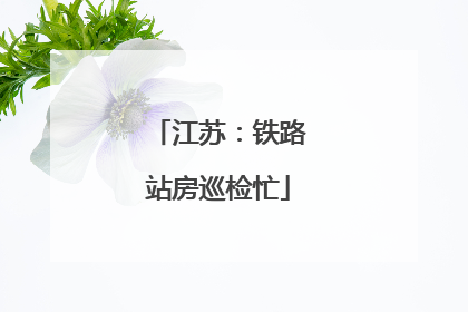 江苏：铁路站房巡检忙