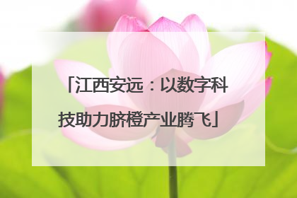 江西安远：以数字科技助力脐橙产业腾飞