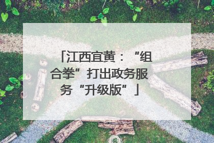 江西宜黄：“组合拳”打出政务服务“升级版”