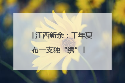 江西新余：千年夏布一支独“绣”