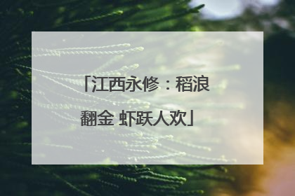 江西永修：稻浪翻金 虾跃人欢